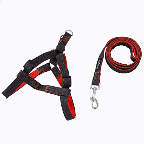 Kuber Industries Dog Belt Combo of Nylon Chest Harness with Leash I Dog Rope for Small to Medium Breeds I Waterproof Harness Chain for Pets (Red)
