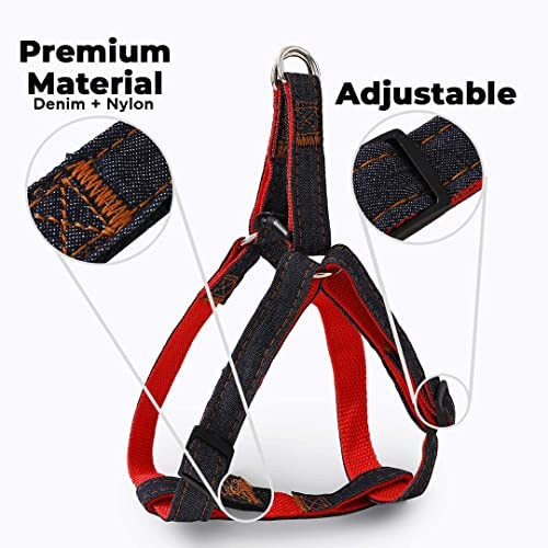 Kuber Industries Dog Belt Combo of Nylon Chest Harness with Leash I Dog Rope for Small to Medium Breeds I Waterproof Harness Chain for Pets (Red)