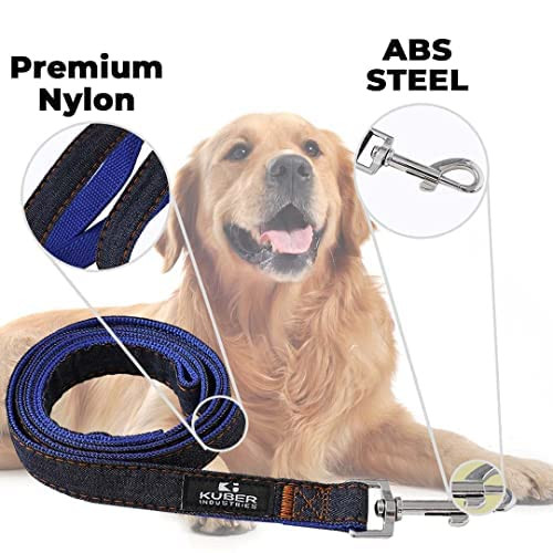 Kuber Industries Dog Belt Combo of Nylon Chest Harness with Leash I Dog Rope for Small to Medium Breeds I Waterproof Harness Chain for Pets (Blue)