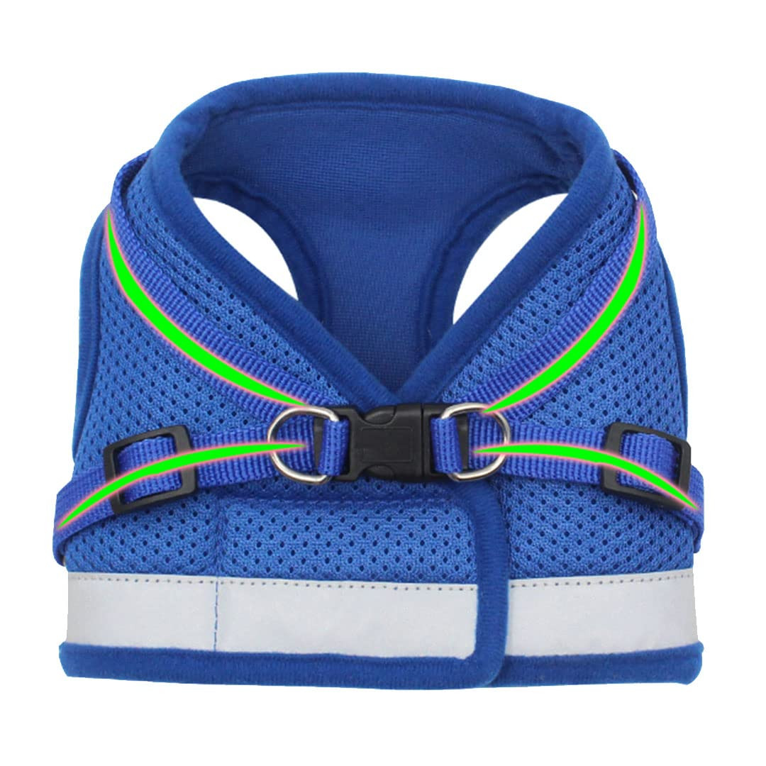 Kuber Industries Dog Chest Harness with Nylon Leash I No Pull, Soft Padded and Breathable Dog Vest I Adjustable, Reflective I Easy Control Dog Chest Belt I (XS, Blue)