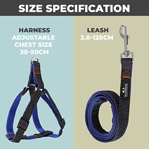 Kuber Industries Dog Combo Pack of Harness, Neck Collar Belt and Leash, Blue