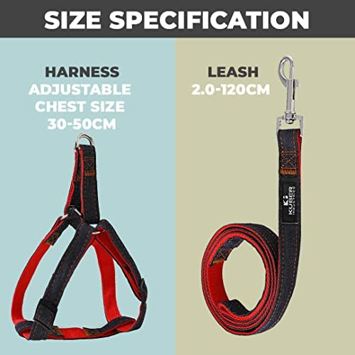 Kuber Industries Dog Combo Pack of Harness, Neck Collar Belt and Leash,Red