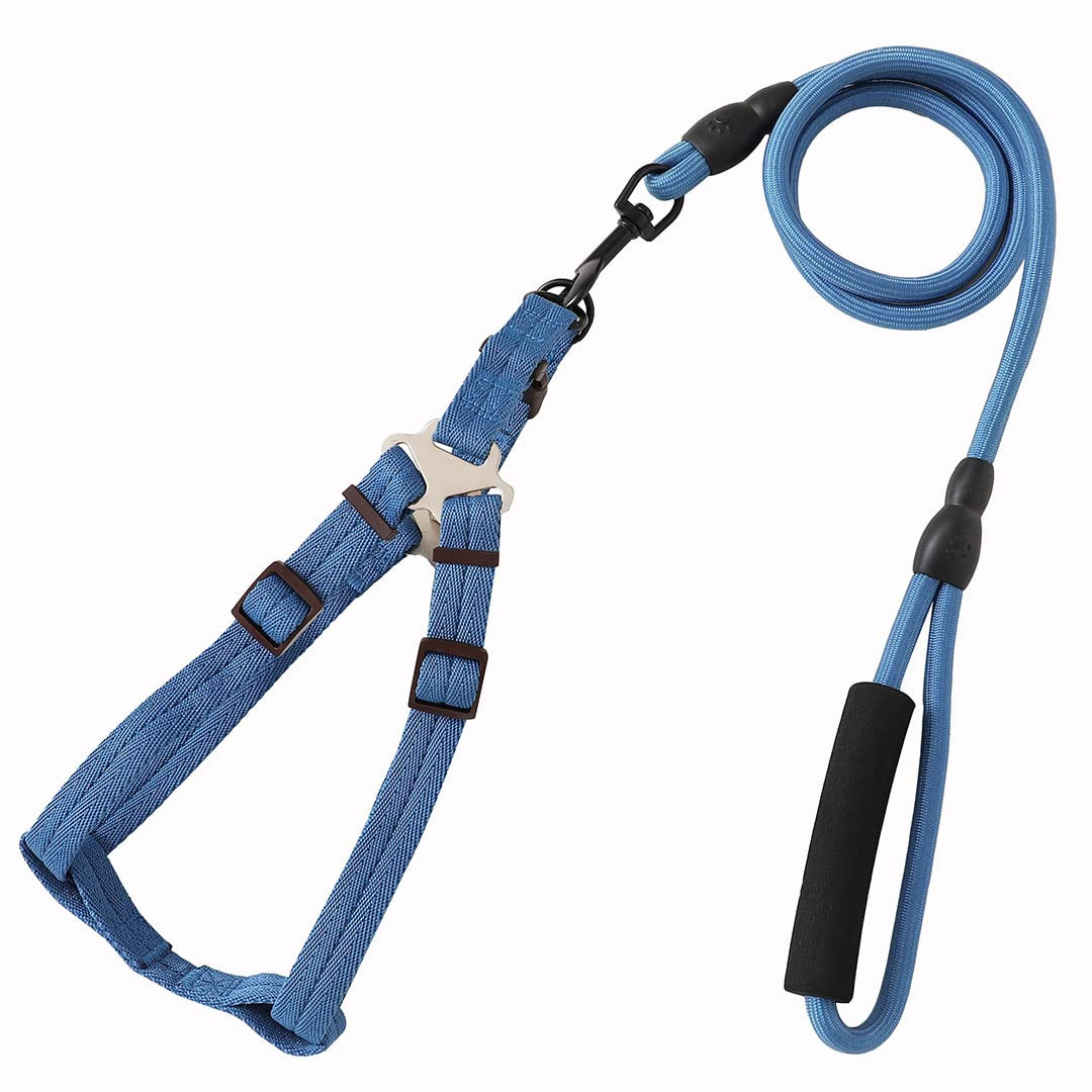 Kuber Industries Dog Harness and Leash Set, Blue