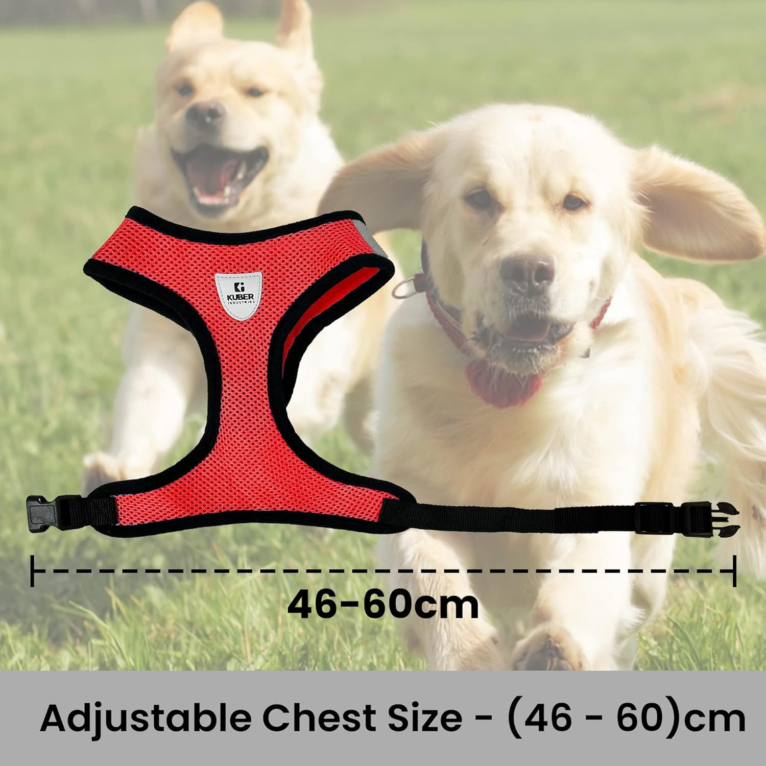 Kuber Industries Dog Harness with Adjustable Leash | Breathable Polyester Mesh | Large Size | HAT-818 | Comfortable No-Pull Grip | Quick Release Buckles | Red | Comfortable and Secure Dog Harness