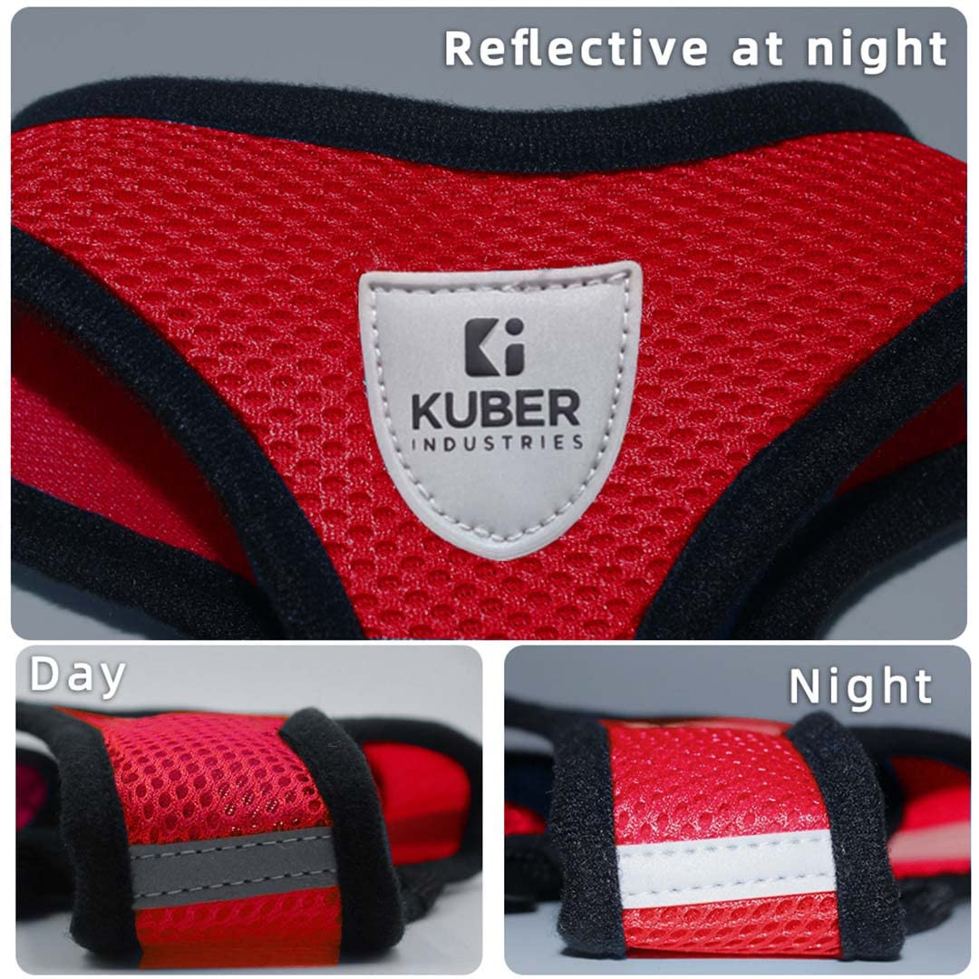 Kuber Industries Dog Harness with Adjustable Leash | Breathable Polyester Mesh | Large Size | HAT-818 | Comfortable No-Pull Grip | Quick Release Buckles | Red | Comfortable and Secure Dog Harness