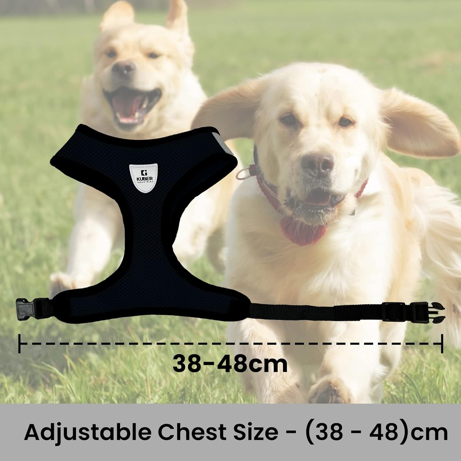 Kuber Industries Small Dog/Cat Chest Harness with Nylon Leash I No Pull, Soft Padded and Breathable Pet Vest I Adjustable, Reflective I Easy Control Pet Chest Belt I (X-Small,Black)