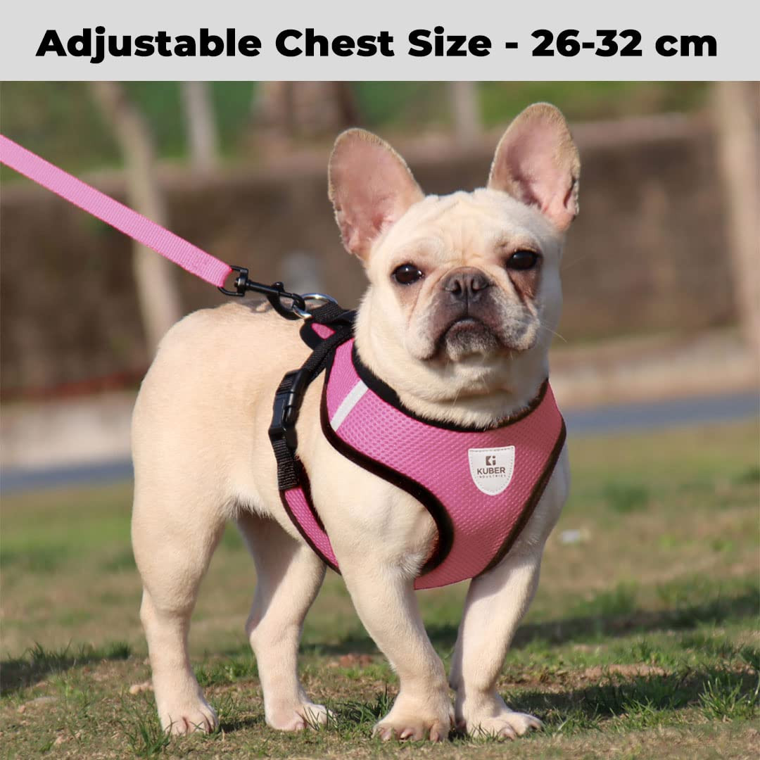 Kuber Industries Small Dog/Cat Chest Harness with Nylon Leash I No Pull, Soft Padded and Breathable Pet Vest I Adjustable, Reflective I Easy Control Pet Chest Belt I (XX-Small,Pink)