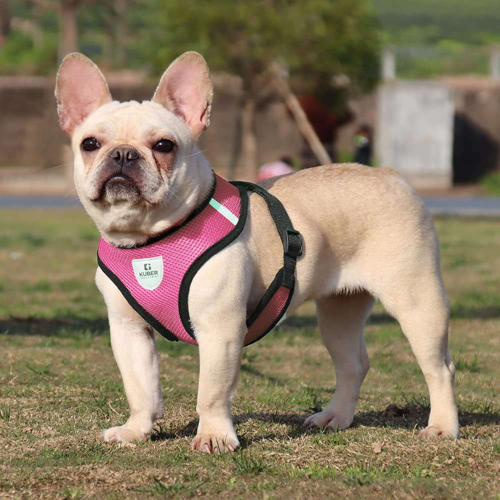Kuber Industries Small Dog/Cat Chest Harness with Nylon Leash I No Pull, Soft Padded and Breathable Pet Vest I Adjustable, Reflective I Easy Control Pet Chest Belt I (X-Small,Pink)