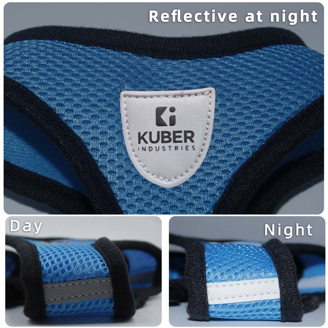 Kuber Industries Small Dog/Cat Chest Harness with Nylon Leash I No Pull, Soft Padded and Breathable Pet Vest I Adjustable, Reflective I Easy Control Pet Chest Belt I (XX-Small,Blue)