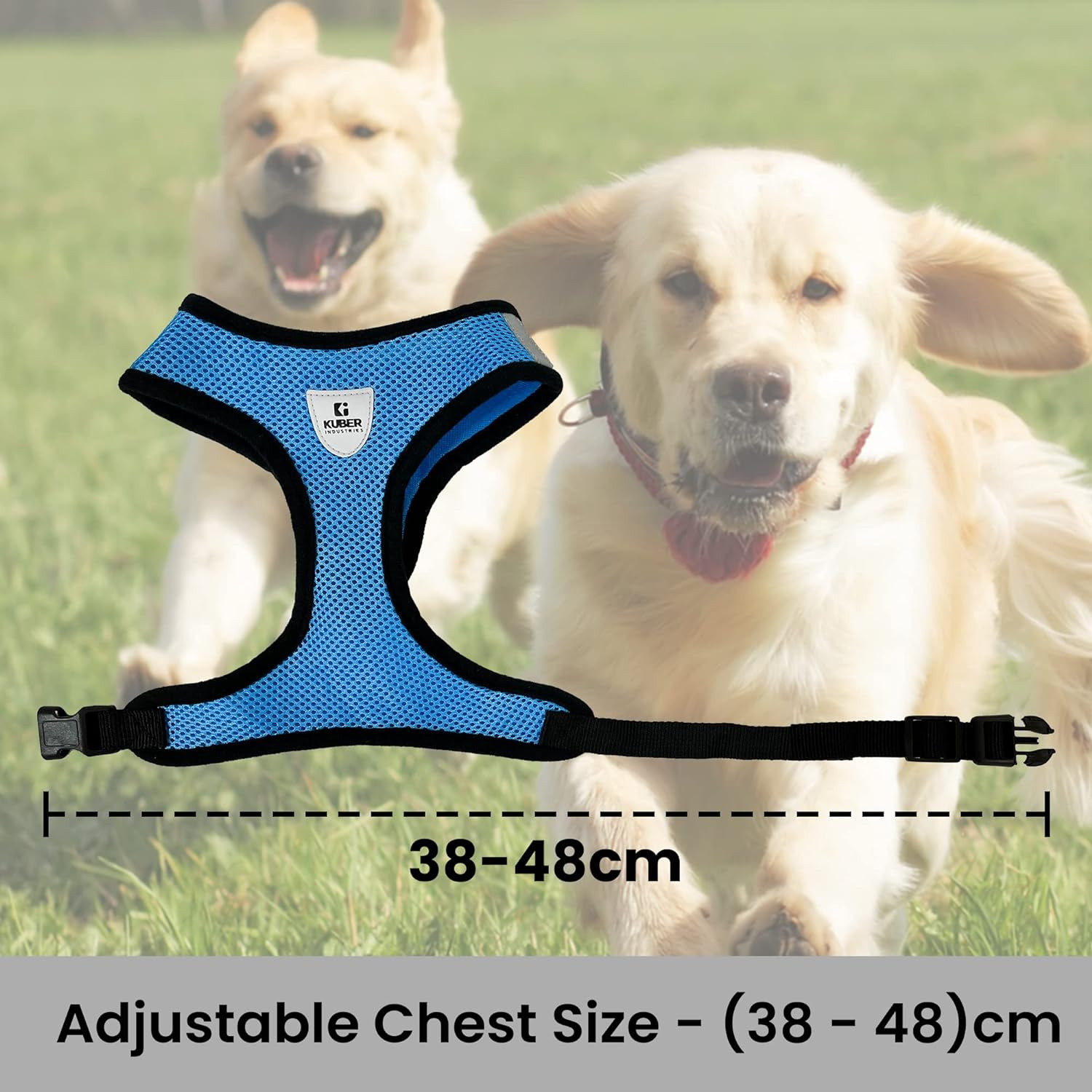 Kuber Industries Small Dog/Cat Chest Harness with Nylon Leash I No Pull, Soft Padded and Breathable Pet Vest I Adjustable, Reflective I Easy Control Pet Chest Belt I (X-Small,Blue)