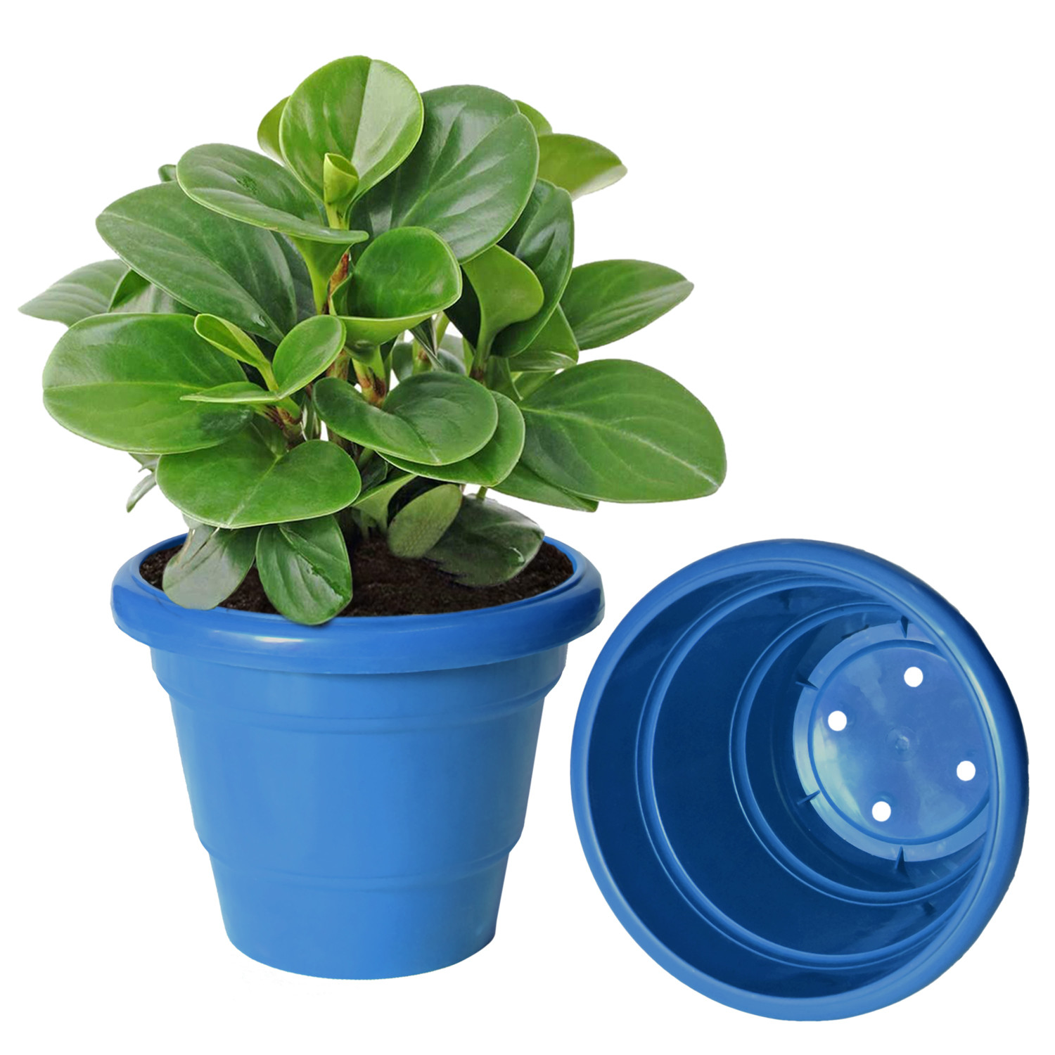 Kuber Industries Solid 2 Layered Plastic Flower Pot|Gamla For Home Decor,Nursery,Balcony,Garden,6